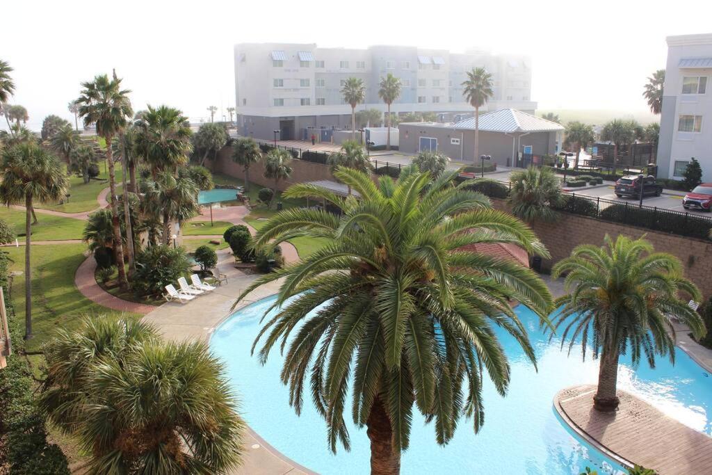 Bluebonnet By The Sea - Resort-Style Pool And Beach Views Galveston Exterior photo